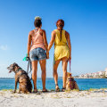 The Ultimate Guide to Pet Shops in Palm Beach County, FL